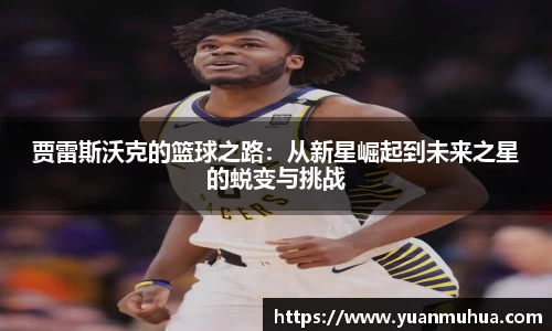 zoty中欧