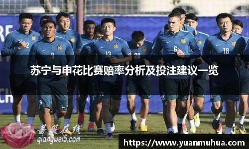 苏宁与申花比赛赔率分析及投注建议一览