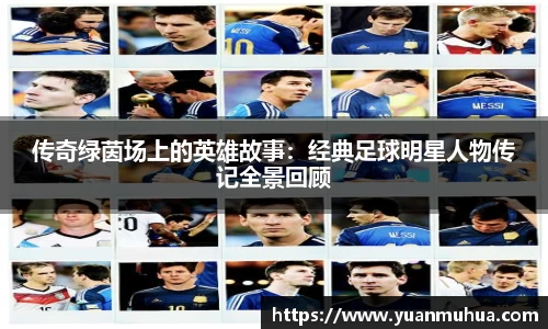 中欧体育官方网站