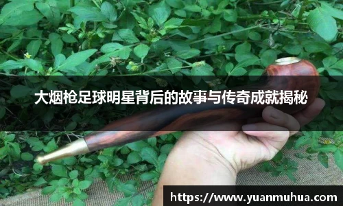 大烟枪足球明星背后的故事与传奇成就揭秘