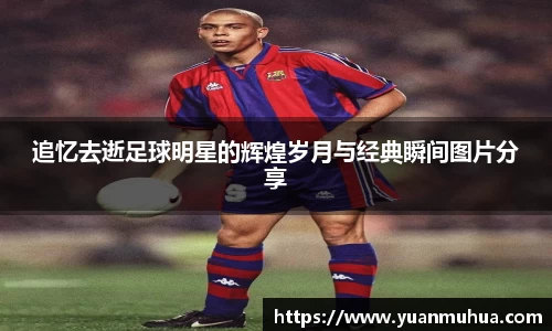 追忆去逝足球明星的辉煌岁月与经典瞬间图片分享